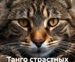 Читайте книгу Танго страстных котов в формате FB2, TXT, PDF, EPUB прямо сейчас онлайн на сайте ornatus.ru бесплатно без регистрации.. Смотреть фото Читайте книгу Танго страстных котов в формате FB2, TXT, PDF, EPUB прямо сейчас онлайн на сайте ornatus.ru бесплатно без регистрации.. Смотреть картинку Читайте книгу Танго страстных котов в формате FB2, TXT, PDF, EPUB прямо сейчас онлайн на сайте ornatus.ru бесплатно без регистрации.. Картинка про Читайте книгу Танго страстных котов в формате FB2, TXT, PDF, EPUB прямо сейчас онлайн на сайте ornatus.ru бесплатно без регистрации.. Фото Читайте книгу Танго страстных котов в формате FB2, TXT, PDF, EPUB прямо сейчас онлайн на сайте ornatus.ru бесплатно без регистрации.