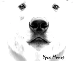 Читайте книгу Медвежий угол в формате FB2, TXT, PDF, EPUB прямо сейчас онлайн на сайте ornatus.ru бесплатно без регистрации.. Смотреть фото Читайте книгу Медвежий угол в формате FB2, TXT, PDF, EPUB прямо сейчас онлайн на сайте ornatus.ru бесплатно без регистрации.. Смотреть картинку Читайте книгу Медвежий угол в формате FB2, TXT, PDF, EPUB прямо сейчас онлайн на сайте ornatus.ru бесплатно без регистрации.. Картинка про Читайте книгу Медвежий угол в формате FB2, TXT, PDF, EPUB прямо сейчас онлайн на сайте ornatus.ru бесплатно без регистрации.. Фото Читайте книгу Медвежий угол в формате FB2, TXT, PDF, EPUB прямо сейчас онлайн на сайте ornatus.ru бесплатно без регистрации.