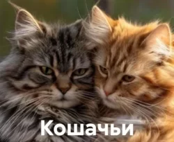 Читайте книгу Кошачьи истории в формате FB2, TXT, PDF, EPUB прямо сейчас онлайн на сайте ornatus.ru бесплатно без регистрации.. Смотреть фото Читайте книгу Кошачьи истории в формате FB2, TXT, PDF, EPUB прямо сейчас онлайн на сайте ornatus.ru бесплатно без регистрации.. Смотреть картинку Читайте книгу Кошачьи истории в формате FB2, TXT, PDF, EPUB прямо сейчас онлайн на сайте ornatus.ru бесплатно без регистрации.. Картинка про Читайте книгу Кошачьи истории в формате FB2, TXT, PDF, EPUB прямо сейчас онлайн на сайте ornatus.ru бесплатно без регистрации.. Фото Читайте книгу Кошачьи истории в формате FB2, TXT, PDF, EPUB прямо сейчас онлайн на сайте ornatus.ru бесплатно без регистрации.