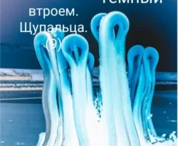 Читайте книгу Остров любви: любовь втроем. Щупальца (9) в формате FB2, TXT, PDF, EPUB прямо сейчас онлайн на сайте ornatus.ru бесплатно без регистрации.. Смотреть фото Читайте книгу Остров любви: любовь втроем. Щупальца (9) в формате FB2, TXT, PDF, EPUB прямо сейчас онлайн на сайте ornatus.ru бесплатно без регистрации.. Смотреть картинку Читайте книгу Остров любви: любовь втроем. Щупальца (9) в формате FB2, TXT, PDF, EPUB прямо сейчас онлайн на сайте ornatus.ru бесплатно без регистрации.. Картинка про Читайте книгу Остров любви: любовь втроем. Щупальца (9) в формате FB2, TXT, PDF, EPUB прямо сейчас онлайн на сайте ornatus.ru бесплатно без регистрации.. Фото Читайте книгу Остров любви: любовь втроем. Щупальца (9) в формате FB2, TXT, PDF, EPUB прямо сейчас онлайн на сайте ornatus.ru бесплатно без регистрации.